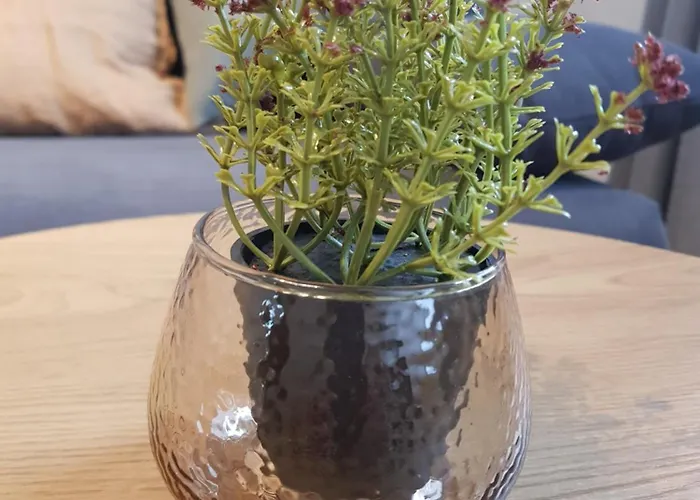 Gretchens アパート *